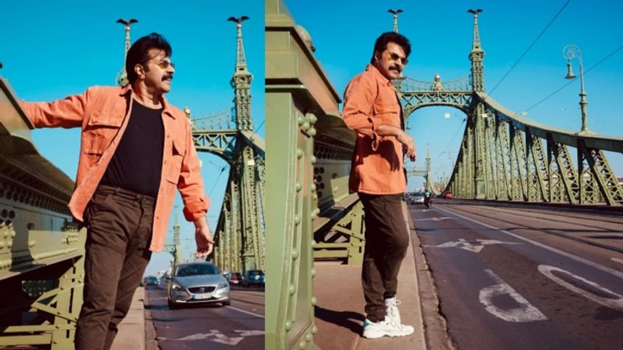 'ശെൻ്റെ പൊന്നോ...'; മമ്മൂട്ടിയുടെ പുത്തൻ ലുക്ക് കണ്ട് അമ്പരന്ന് മലയാളികൾ 'ശെൻ്റെ പൊന്നോ...'; മമ്മൂട്ടിയുടെ പുത്തൻ ലുക്ക് കണ്ട് അമ്പരന്ന് മലയാളികൾ