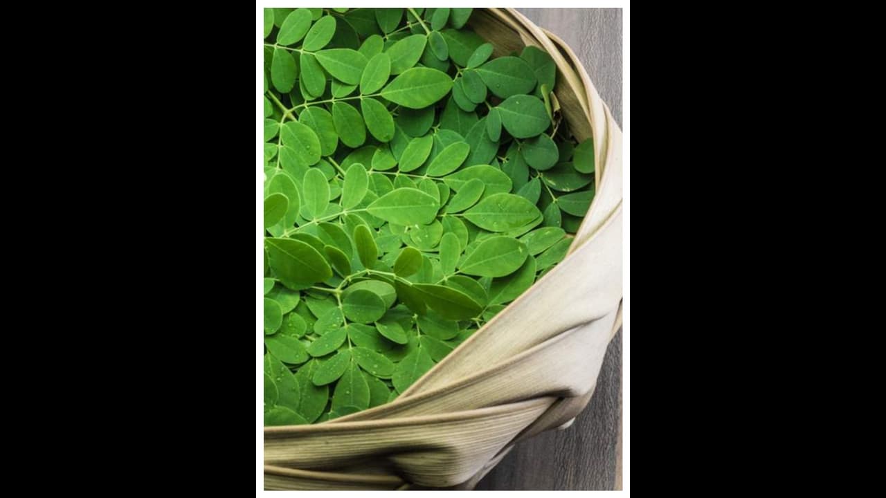 ശ്രദ്ധിക്കൂ, മുരിങ്ങയില കഴിക്കണമെന്ന് പറയുന്നതിന്റെ കാരണങ്ങളറിയാം ശ്രദ്ധിക്കൂ, മുരിങ്ങയില കഴിക്കണമെന്ന് പറയുന്നതിന്റെ കാരണങ്ങളറിയാം