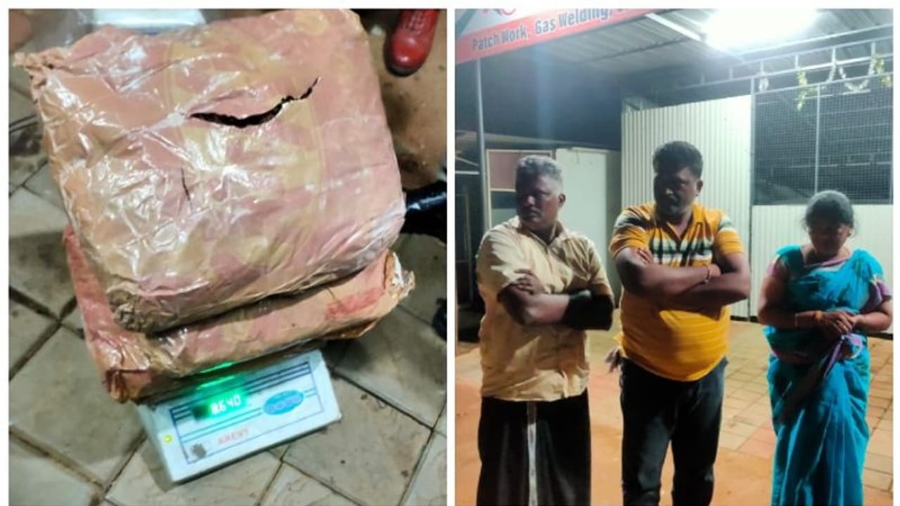 12.5 കിലോ കഞ്ചാവുമായി സ്ത്രീ ഉൾപ്പടെ 3 പേർ അറസ്റ്റിൽ, ഹൈറേഞ്ചിലേക്ക് ലഹരിയെത്തിക്കുന്ന ഇടനിലക്കാരെന്ന് പൊലീസ്
