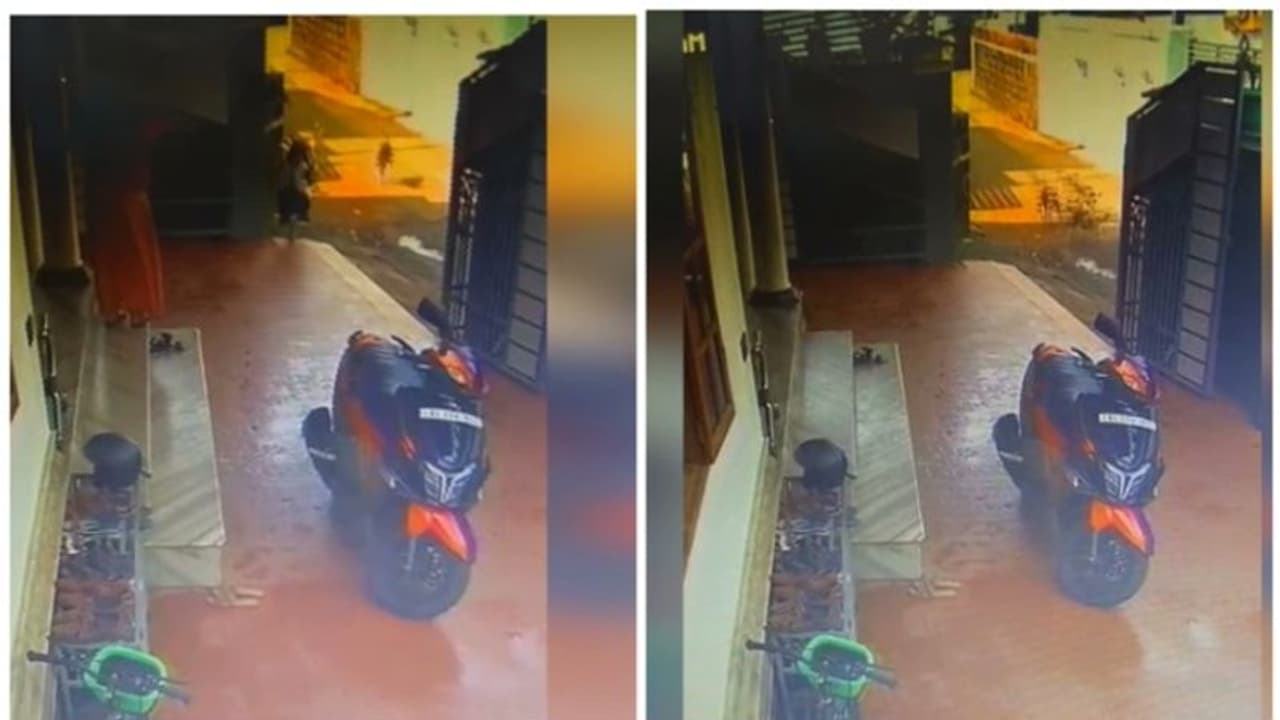 നായ്ക്കളെ പേടിച്ച് നാട്ടുകാർ; 5 വയസ്സുകാരി രക്ഷപ്പെട്ടത് തലനാരിഴക്ക്, വൃദ്ധയെ കടിച്ചുപറിച്ചു നായ്ക്കളെ പേടിച്ച് നാട്ടുകാർ; 5 വയസ്സുകാരി രക്ഷപ്പെട്ടത് തലനാരിഴക്ക്, വൃദ്ധയെ കടിച്ചുപറിച്ചു