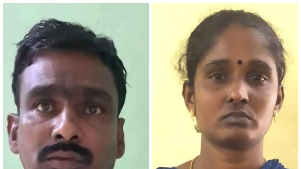 கஞ்சா பதுக்கி வைத்திருந்த பெண் உள்பட இருவருக்கு 20 ஆண்டுகள் கடுங்காவல்; நீதிமன்றம் அதிரடி கஞ்சா பதுக்கி வைத்திருந்த பெண் உள்பட இருவருக்கு 20 ஆண்டுகள் கடுங்காவல்; நீதிமன்றம் அதிரடி