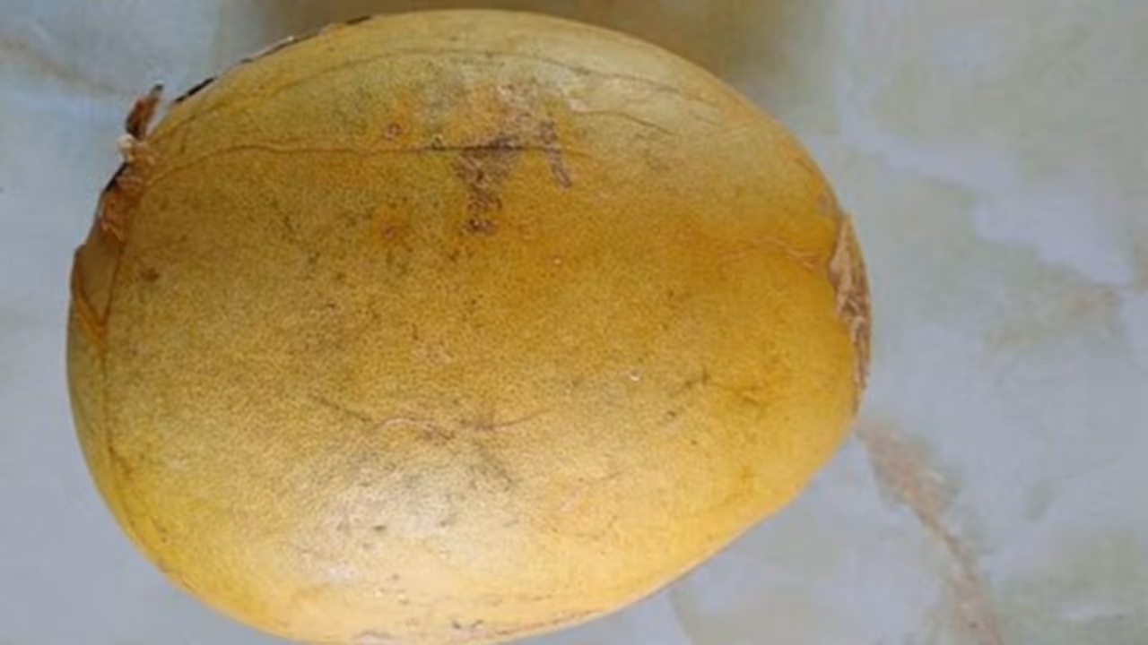  ദഹനം മെച്ചപ്പെടുത്താനും മലബന്ധം അകറ്റാനും സഹായിക്കും ഈ പഴം... 