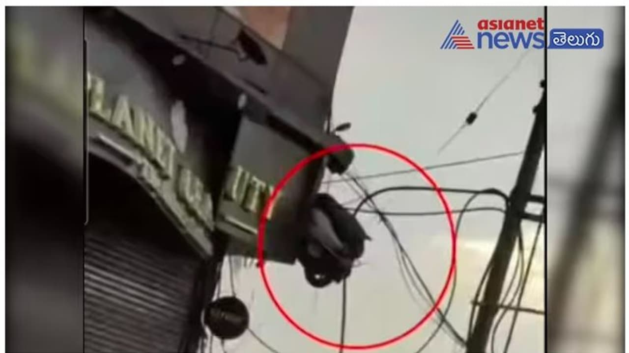 రోడ్డు మీద వెళ్లాల్సిన స్కూటర్.. అక్కడికి ఎలా ఎక్కిందబ్బా..వైరల్ వీడియో