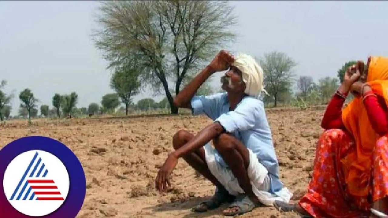 ಹನಿ ನೀರಿಗಾಗಿ ಬಾಯ್ತೆರೆದ ಮೊಳಕೆ; ಸಾಯುವ ಮುನ್ನ ಸುರಿಬಾರದೇ ಮಳೆರಾಯ! ಹನಿ ನೀರಿಗಾಗಿ ಬಾಯ್ತೆರೆದ ಮೊಳಕೆ; ಸಾಯುವ ಮುನ್ನ ಸುರಿಬಾರದೇ ಮಳೆರಾಯ!