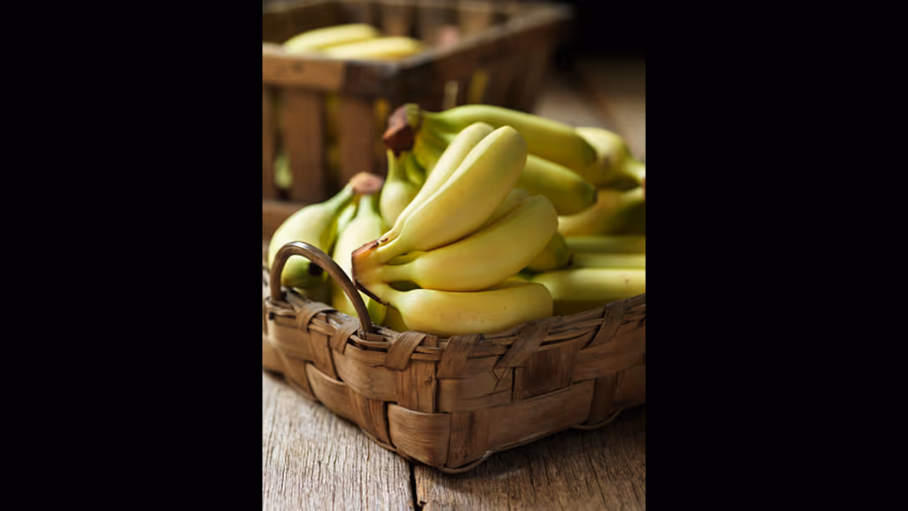 ನಂಜನಗೂಡು ರಸ ಬಾಳೆ, ಮೈಸೂರು ಮಲ್ಲಿಗೆ ಮತ್ತು ವೀಳ್ಯದೆಲೆ ಕಣ್ಮರೆ: ಸಂಕಷ್ಟದಲ್ಲಿ ಬೆಳೆಗಾರರು