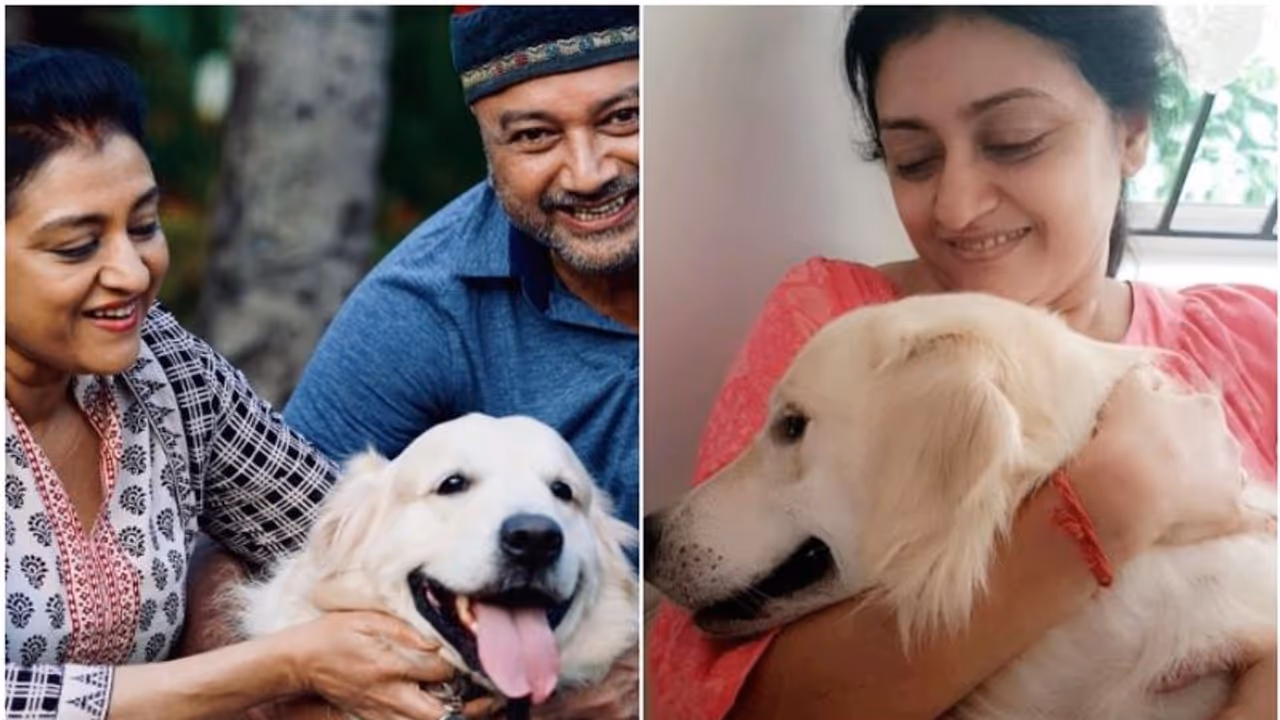 'നീയില്ലാതെ വീട് ഒരിക്കലും പഴയതുപോലെ ആകില്ല'; വേദന നിറഞ്ഞ വാക്കുകളുമായി പാര്വ്വതി... 'നീയില്ലാതെ വീട് ഒരിക്കലും പഴയതുപോലെ ആകില്ല'; വേദന നിറഞ്ഞ വാക്കുകളുമായി പാര്വ്വതി...