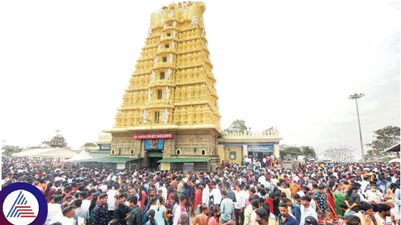 ಶಕ್ತಿ ಎಫೆಕ್ಟ್: ಚಳಿ, ಮಳೆ ಮಧ್ಯೆಯೂ ಚಾಮುಂಡಿ ಬೆಟ್ಟಕ್ಕೆ ಭಕ್ತರ ದಂಡು ಶಕ್ತಿ ಎಫೆಕ್ಟ್: ಚಳಿ, ಮಳೆ ಮಧ್ಯೆಯೂ ಚಾಮುಂಡಿ ಬೆಟ್ಟಕ್ಕೆ ಭಕ್ತರ ದಂಡು