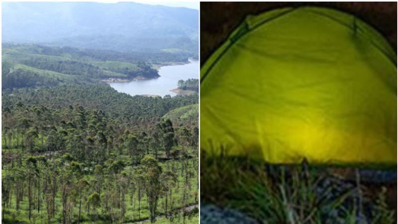 ആനത്താരകളിലുള്പ്പെടെ അനധികൃത ടെന്റുകൾ; സുരക്ഷയ്ക്ക് ഭീഷണിയെന്ന് കളക്ടർ, കർശന നടപടികളിലേക്ക് അധികൃതര് ആനത്താരകളിലുള്പ്പെടെ അനധികൃത ടെന്റുകൾ; സുരക്ഷയ്ക്ക് ഭീഷണിയെന്ന് കളക്ടർ, കർശന നടപടികളിലേക്ക് അധികൃതര്