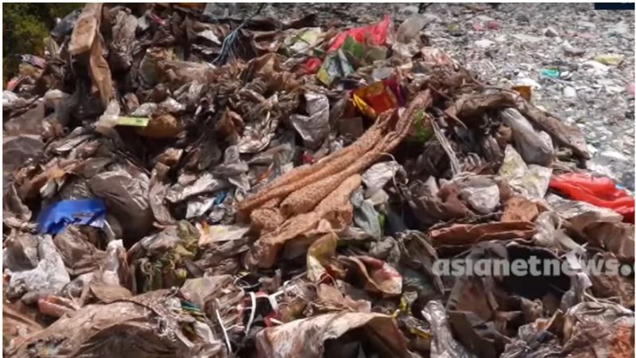 വൃത്തിയാക്കിയ സ്ഥലത്ത് വീണ്ടും മാലിന്യം തള്ളുന്നു; വാഹനങ്ങൾ പിടിച്ചെടുക്കൽ അടക്കം കടുത്ത നടപടികളെന്ന് മന്ത്രി