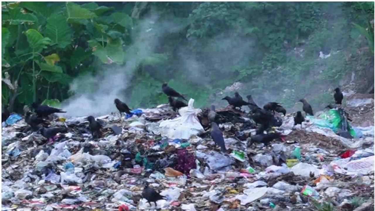 അവനവൻ കുഴിയ്ക്കുന്ന ഗുലുമാൽ...; മാലിന്യം ഇനി ചില്ലറക്കളിയല്ല, വലിച്ചെറിഞ്ഞാൽ വൻതുക പിഴ, ഒപ്പം ജയിലും! അവനവൻ കുഴിയ്ക്കുന്ന ഗുലുമാൽ...; മാലിന്യം ഇനി ചില്ലറക്കളിയല്ല, വലിച്ചെറിഞ്ഞാൽ വൻതുക പിഴ, ഒപ്പം ജയിലും!