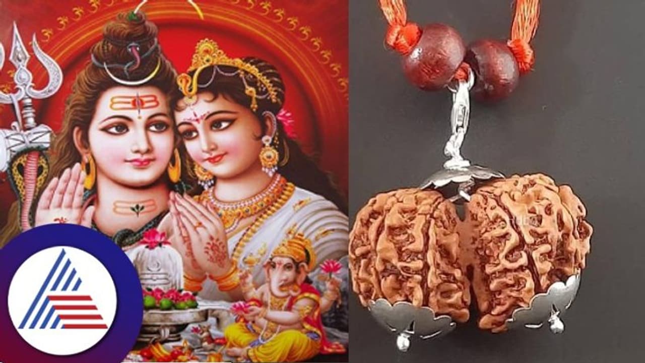 Gauri Shankar Rudraksha: ಸದಾ ಕಚ್ಚಾಡುವ ದಂಪತಿ ನಡುವೆ ಪ್ರೀತಿ ತರುವ ವಿಶೇಷ ರುದ್ರಾಕ್ಷಿ
