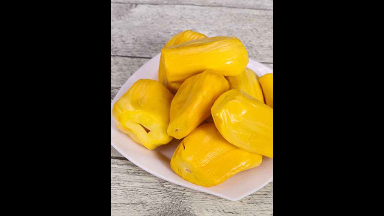  9ರಂದು ತಿಪಟೂರಲ್ಲಿ ಹಲಸಿನ ಹಬ್ಬ: ಗುರು ಸಿರಿಗಂಧ