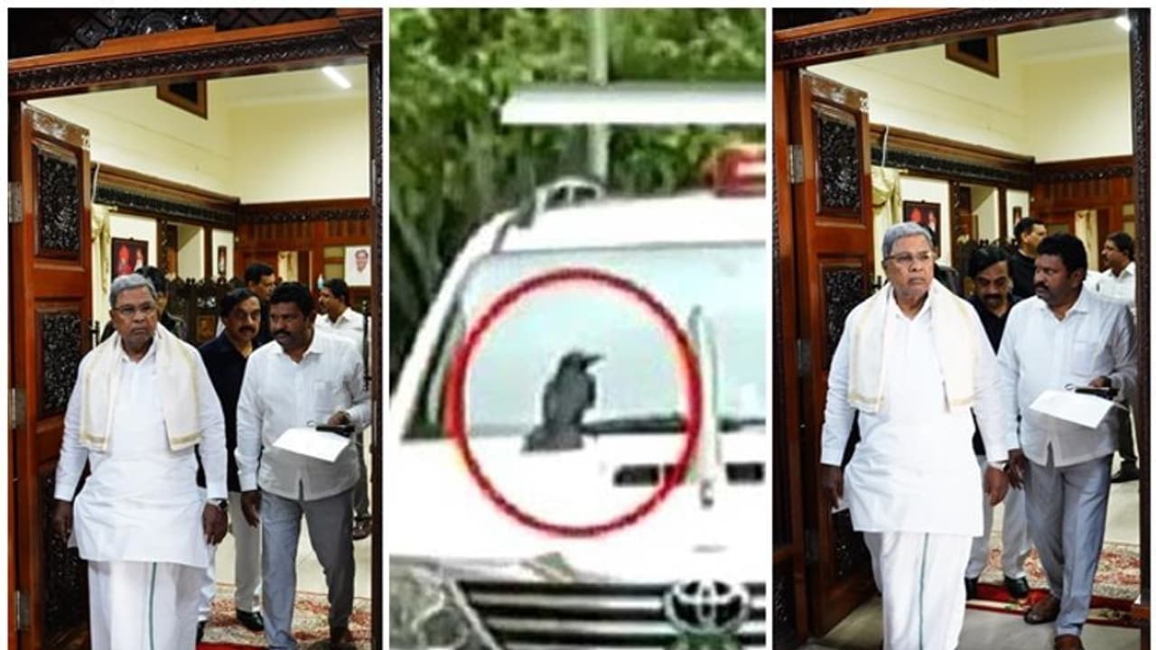 ಮೌಢ್ಯಕ್ಕೆ ಬ್ರೇಕ್ ಹಾಕಿದ ಸಿಎಂ ಸಿದ್ದರಾಮಯ್ಯ, 5 ವರ್ಷದ ನಂತರ ಮತ್ತೇ ಓಪನ್ ಆಯ್ತು ದಕ್ಷಿಣ ದ್ವಾರ! ಮೌಢ್ಯಕ್ಕೆ ಬ್ರೇಕ್ ಹಾಕಿದ ಸಿಎಂ ಸಿದ್ದರಾಮಯ್ಯ, 5 ವರ್ಷದ ನಂತರ ಮತ್ತೇ ಓಪನ್ ಆಯ್ತು ದಕ್ಷಿಣ ದ್ವಾರ!