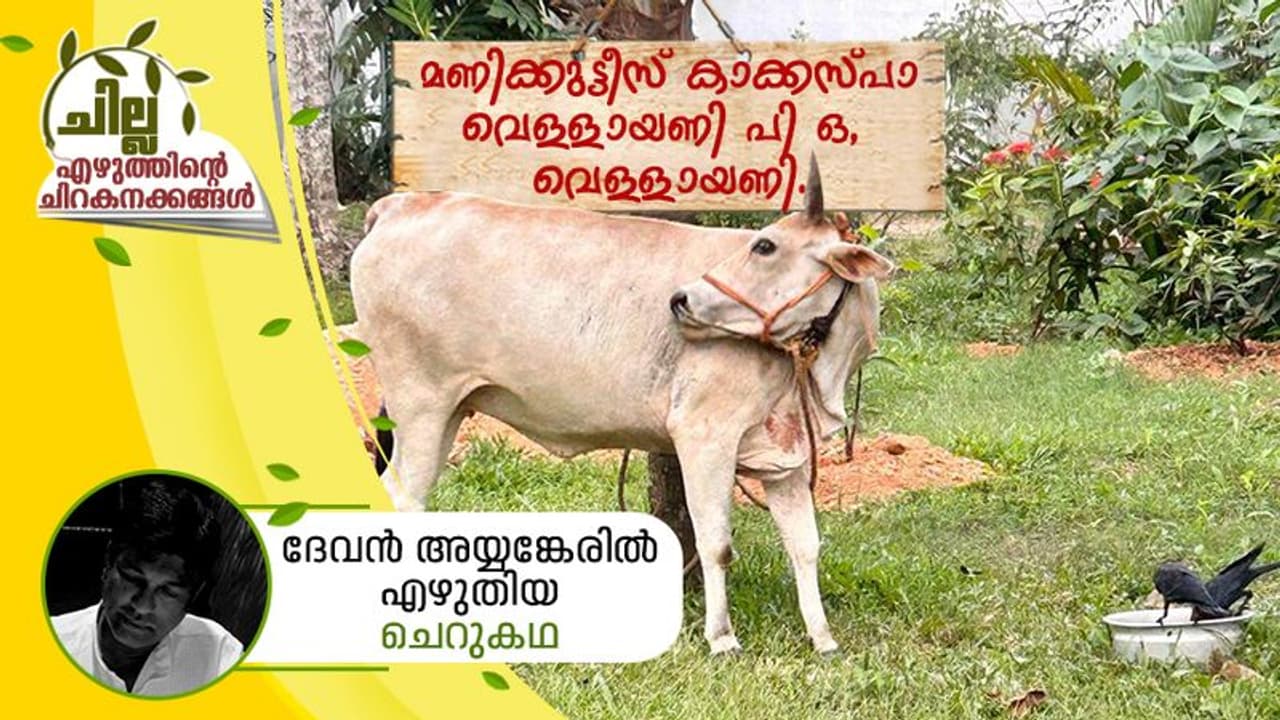 മണിക്കുട്ടീസ് കാക്കസ്പാ, വെള്ളായണി പി ഒ, വെള്ളായണി മണിക്കുട്ടീസ് കാക്കസ്പാ, വെള്ളായണി പി ഒ, വെള്ളായണി