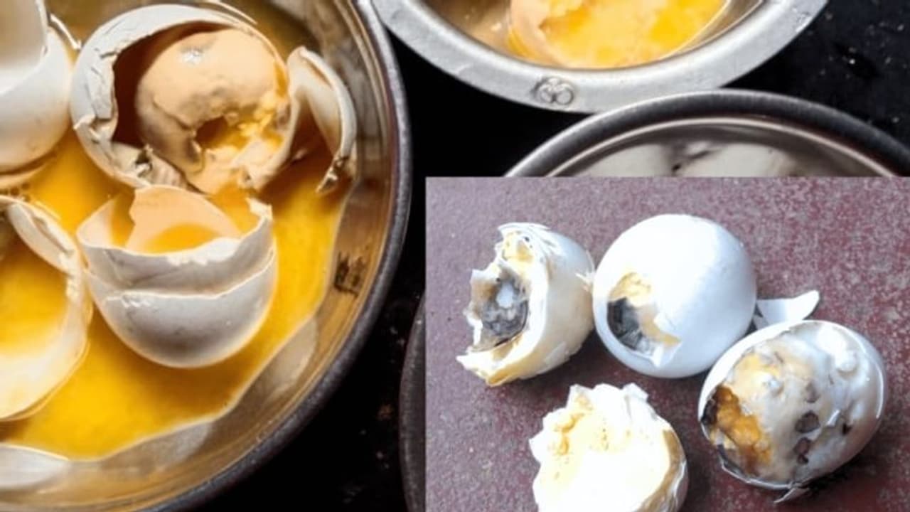 Mangaluru: Pregnant woman receives rotten eggs under govt scheme