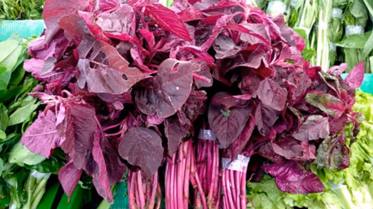 ദിവസവും കഴിക്കാം ചുവന്ന ചീര; അറിയാം ഈ ഒമ്പത് ഗുണങ്ങള്... ദിവസവും കഴിക്കാം ചുവന്ന ചീര; അറിയാം ഈ ഒമ്പത് ഗുണങ്ങള്...