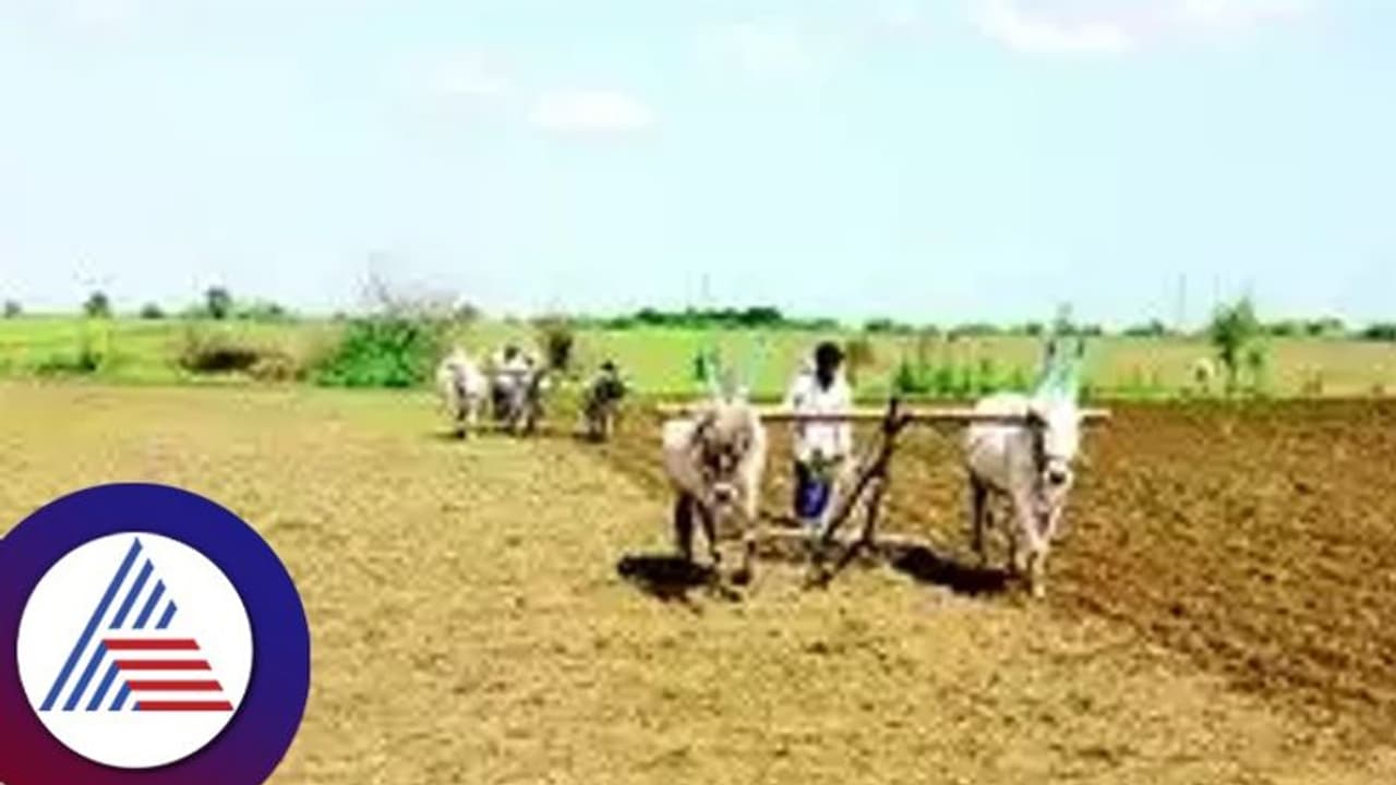 ಕಳೆದ ಬಾರಿ ಅತಿವೃಷ್ಟಿ, ಈ ಬಾರಿ ಅನಾವೃಷ್ಟಿ, ಆತಂಕದಲ್ಲಿ ರೈತರು! ಕಳೆದ ಬಾರಿ ಅತಿವೃಷ್ಟಿ, ಈ ಬಾರಿ ಅನಾವೃಷ್ಟಿ, ಆತಂಕದಲ್ಲಿ ರೈತರು!