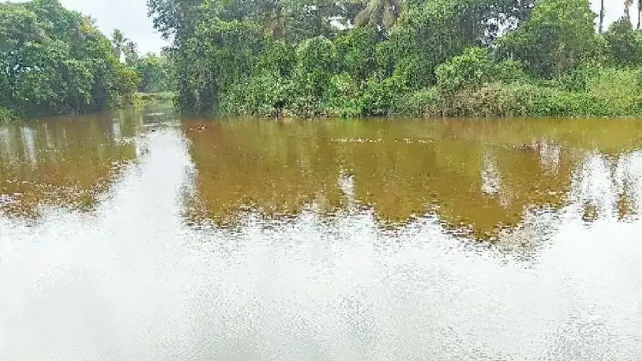 ಬಾಗಲಕೋಟೆ: ಹಿಪ್ಪರಗಿ ಜಲಾಶಯಕ್ಕೆ ಹರಿದು ಬಂದ ನೀರು, ಜನರಲ್ಲಿ ಸಂತಸ ಬಾಗಲಕೋಟೆ: ಹಿಪ್ಪರಗಿ ಜಲಾಶಯಕ್ಕೆ ಹರಿದು ಬಂದ ನೀರು, ಜನರಲ್ಲಿ ಸಂತಸ