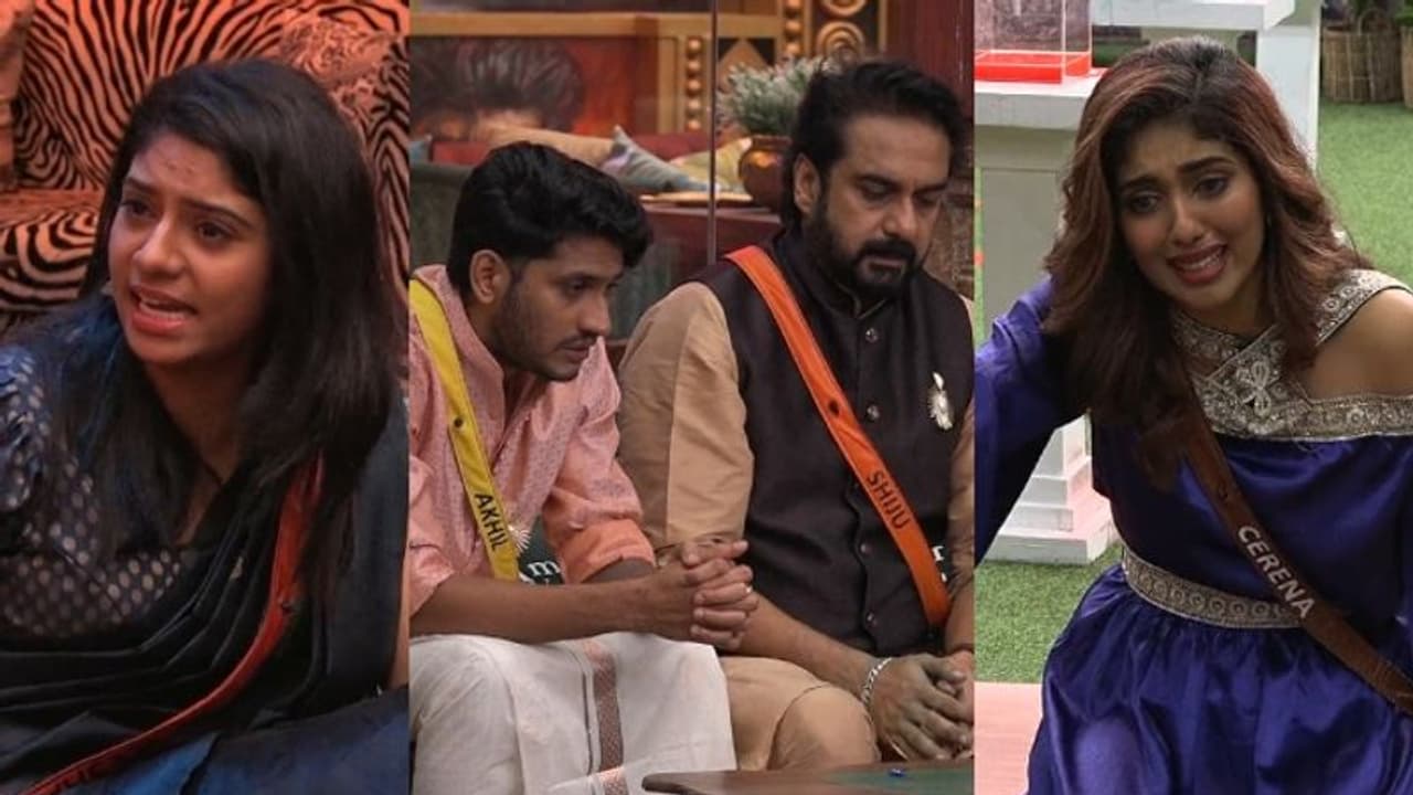 'ഇവളെ ഇങ്ങനെ ബില്ഡ് ചെയ്തത് ഞാനാണ്, അതിന്റെ ക്രെഡിറ്റ് മുഴുവന് ഞാനെടുക്കും'; പൊട്ടിക്കരഞ്ഞ് സെറീന 'ഇവളെ ഇങ്ങനെ ബില്ഡ് ചെയ്തത് ഞാനാണ്, അതിന്റെ ക്രെഡിറ്റ് മുഴുവന് ഞാനെടുക്കും'; പൊട്ടിക്കരഞ്ഞ് സെറീന