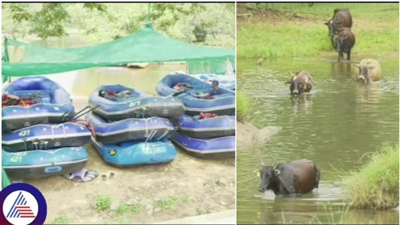 ತವರಿನಲ್ಲೇ ಸೊರಗಿದ ಕಾವೇರಿ: ಕೃಷಿ ಮಾತ್ರವಲ್ಲ, ಪ್ರವಾಸೋದ್ಯಮಕ್ಕೂ ಸಂಕಷ್ಟ