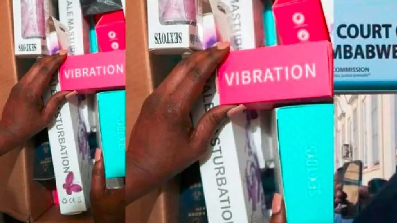 ಸೆಕ್ಸ್‌ಟಾಯ್ಸ್ ನಿಷೇಧಿಸಿದ ಸರ್ಕಾರದ ವಿರುದ್ಧ ಕೋರ್ಟ್ ಮೆಟ್ಟಿಲೇರಿದ ವಿಚ್ಛೇದಿತ ಮಹಿಳೆ