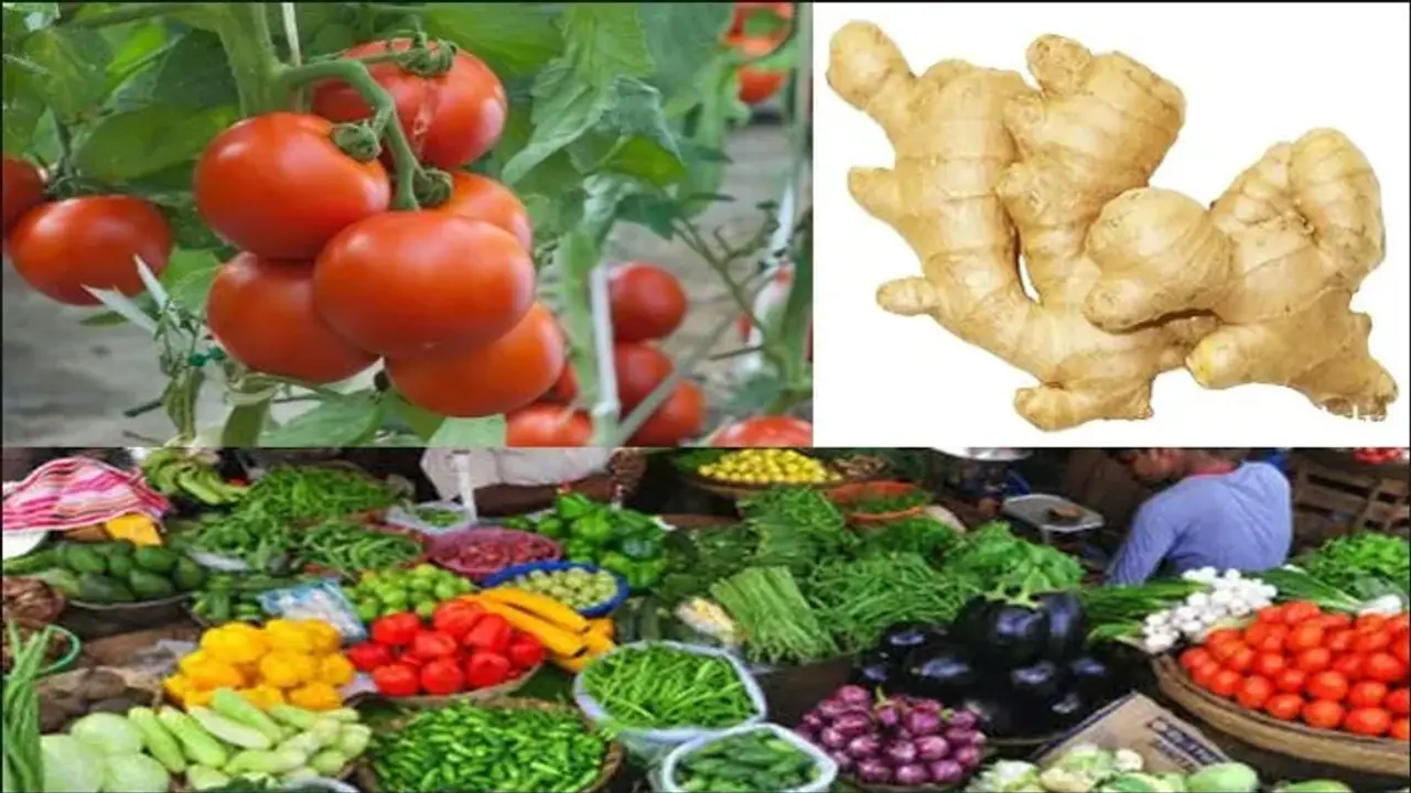 vegetable price