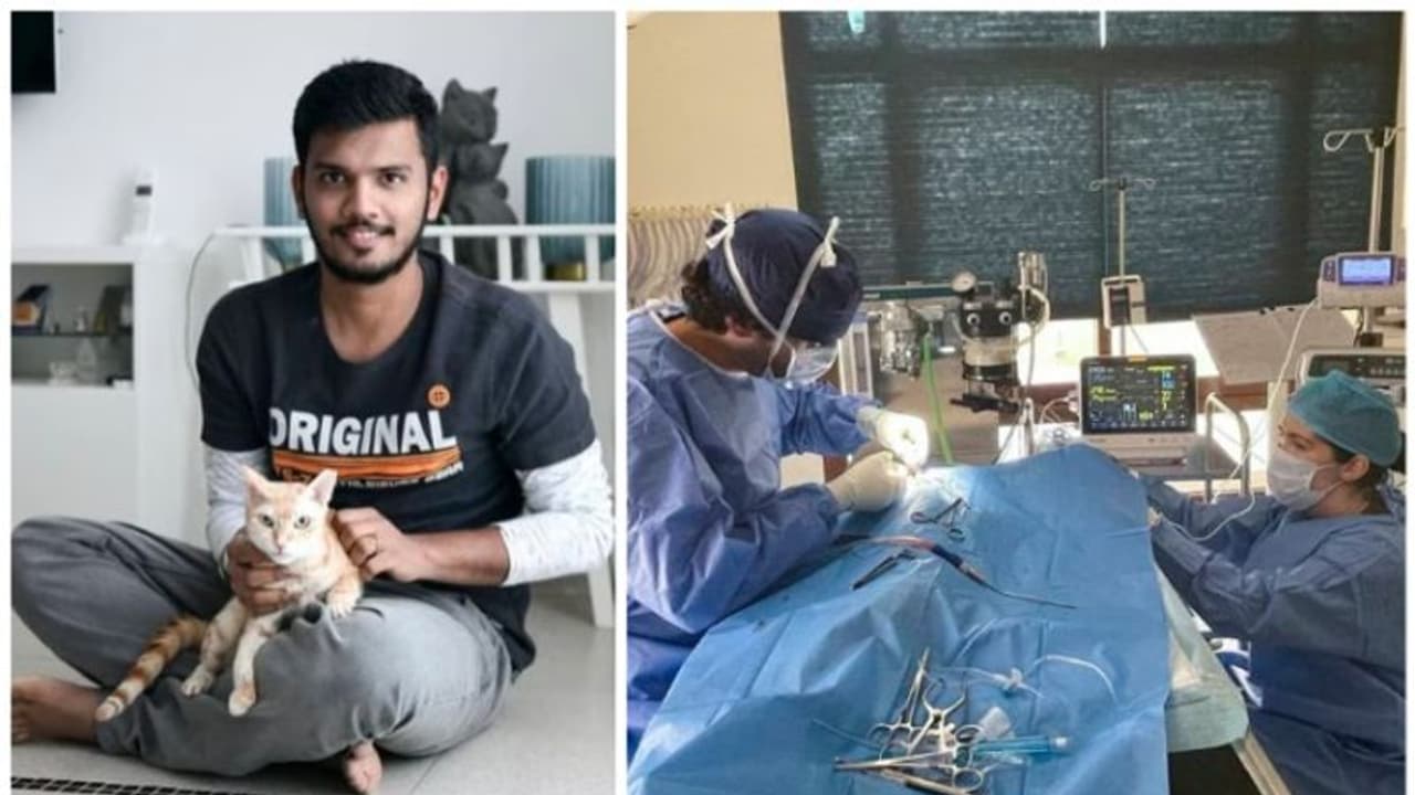 വളര്ത്തു പൂച്ചയുടെ ജീവന് രക്ഷിക്കാന് ഏഴര ലക്ഷത്തിലധികം രൂപയുടെ ശസ്ത്രക്രിയ നടത്തി പ്രവാസി വളര്ത്തു പൂച്ചയുടെ ജീവന് രക്ഷിക്കാന് ഏഴര ലക്ഷത്തിലധികം രൂപയുടെ ശസ്ത്രക്രിയ നടത്തി പ്രവാസി