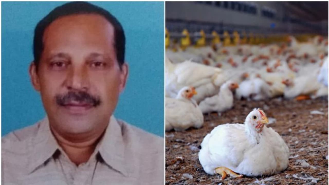 മലബാർ എഗ്ഗർ ചിക്കൻ ഫാം ഉടമക്ക് കോഴിഫാമിൽ ദാരുണാന്ത്യം; വിൽ‌സൺ മാത്യു കോഴിഫാമിൽ ഷോക്കേറ്റ് മരിച്ചു
