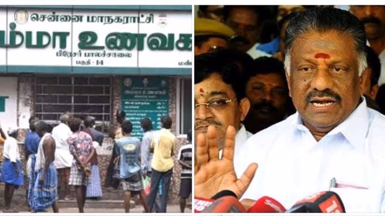 மது பாட்டில்களின் குவியலாகவும், நாய்களின் உறைவிடமாக காட்சி அளிக்கும் அம்மா உணவகம் திமுக அரசை விளாசும் ஓபிஎஸ் மது பாட்டில்களின் குவியலாகவும், நாய்களின் உறைவிடமாக காட்சி அளிக்கும் அம்மா உணவகம் திமுக அரசை விளாசும் ஓபிஎஸ்