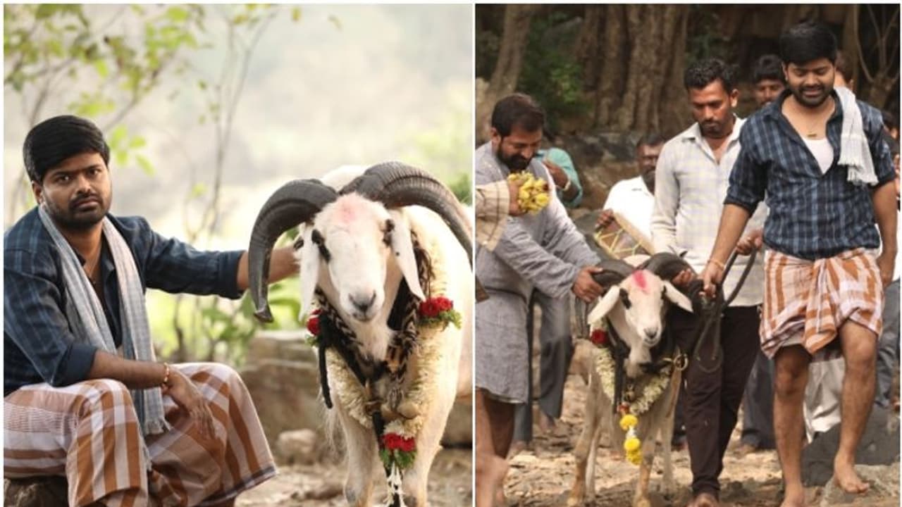 ಚಿತ್ರತಂಡದ ಒತ್ತಾಯಕ್ಕೆ ಮಣಿದ ಮಾಲೀಕ: ಅಂತೂ ಉಳಿಯಿತು ಕುರುಬಾನಿ ಆಗ್ಬೇಕಿದ್ದ 'ಟಗರು ಪಲ್ಯ' ಸುಲ್ತಾನ ಜೀವ