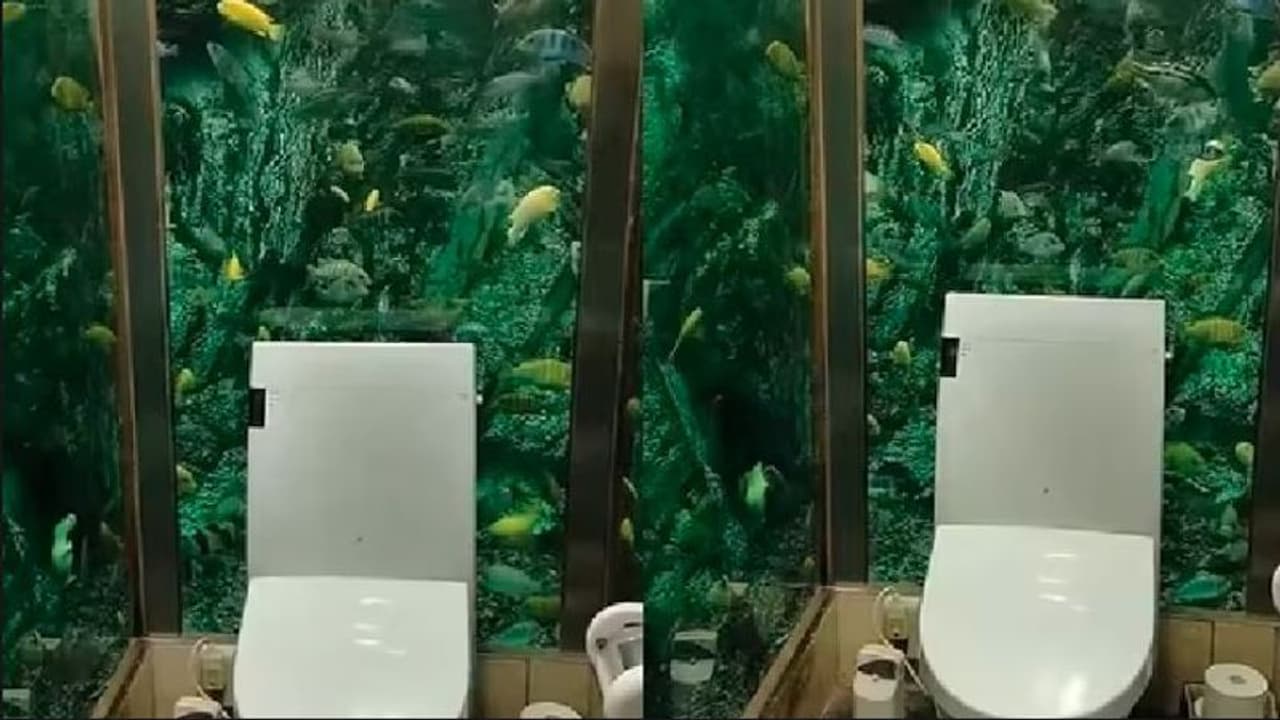 ಅಕ್ವೇರಿಯಂ ಒಳಗೆ ಟಾಯ್ಲೆಟ್ ನಿರ್ಮಿಸಿದ ಜಪಾನ್: ವೀಡಿಯೋ ವೈರಲ್ ಅಕ್ವೇರಿಯಂ ಒಳಗೆ ಟಾಯ್ಲೆಟ್ ನಿರ್ಮಿಸಿದ ಜಪಾನ್: ವೀಡಿಯೋ ವೈರಲ್