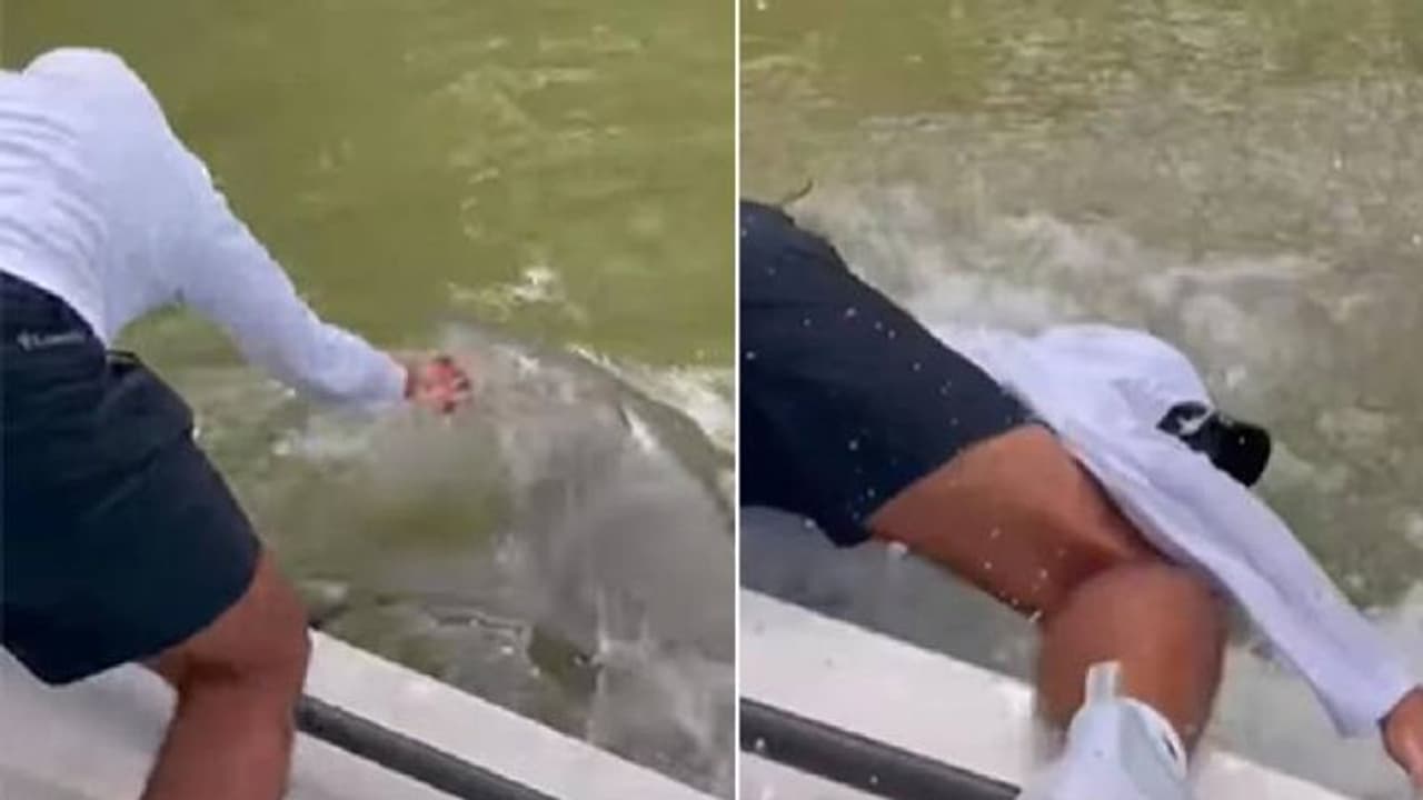 യുവാവിന്‍റെ കയ്യിൽ കടിച്ചു, വെള്ളത്തിലേക്ക് വലിച്ചിട്ട് സ്രാവ്, ഭയാനകം ഈ രം​ഗം 