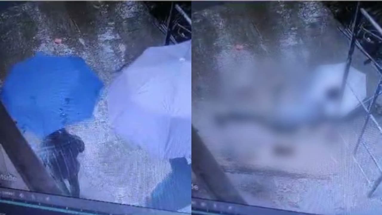 മഴയത്ത് കുട നിവർത്തി ഓഫീസിൽ നിന്ന് പുറത്തേക്ക്, കാത്തിരുന്ന പോലെ മരം ഒടിഞ്ഞ് തലയിൽ വീണു; പരിക്ക് മഴയത്ത് കുട നിവർത്തി ഓഫീസിൽ നിന്ന് പുറത്തേക്ക്, കാത്തിരുന്ന പോലെ മരം ഒടിഞ്ഞ് തലയിൽ വീണു; പരിക്ക്