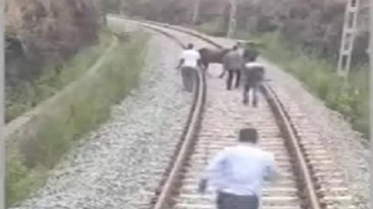 వందేభారత్ ఎక్స్ ప్రెస్ రైలుకు తప్పిన ముప్పు.. ఆవు అడ్డురావడంతో... వందేభారత్ ఎక్స్ ప్రెస్ రైలుకు తప్పిన ముప్పు.. ఆవు అడ్డురావడంతో...