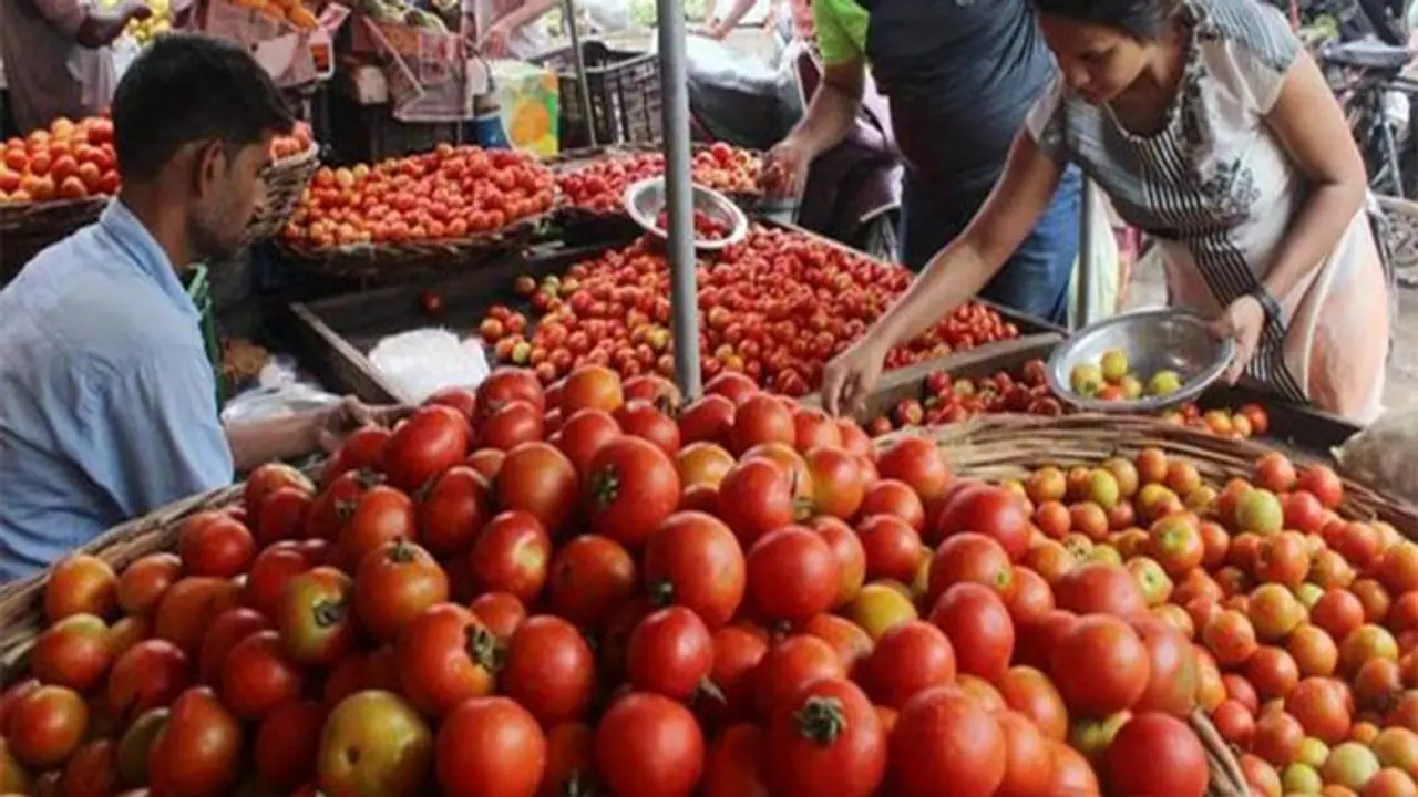 Maharashtra farmer turns millionaire in a month as tomato prices go through the roof