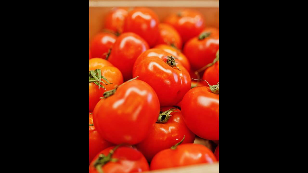 இல்லத்தரசிகளுக்கு குட்நியூஸ்.. சரசரவென குறைந்த தக்காளி விலை.. இன்றைய நிலவரம் என்ன? இல்லத்தரசிகளுக்கு குட்நியூஸ்.. சரசரவென குறைந்த தக்காளி விலை.. இன்றைய நிலவரம் என்ன?