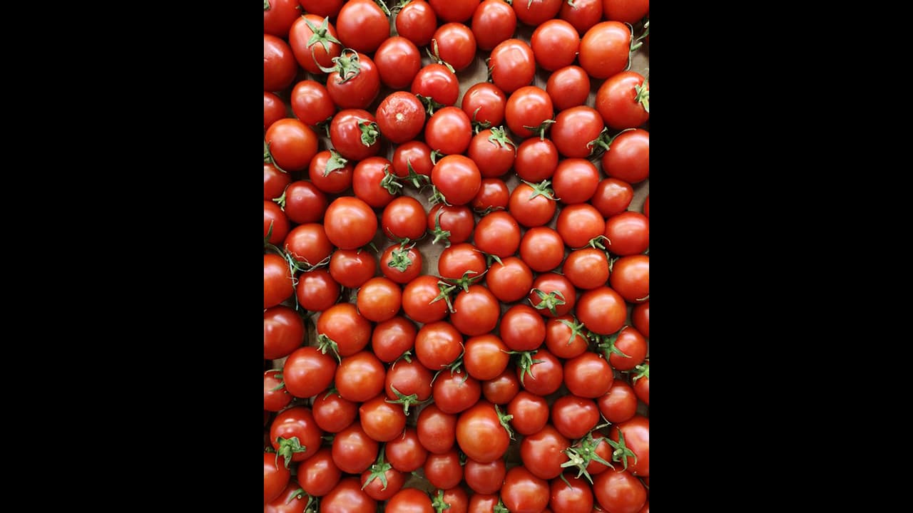 கடன் சுமையில் சிக்கித்தவித்த குடும்பம்.. தக்காளி செய்த அற்புதம் 45 நாட்களில் 4 கோடி சம்பாதித்த விவசாயி!