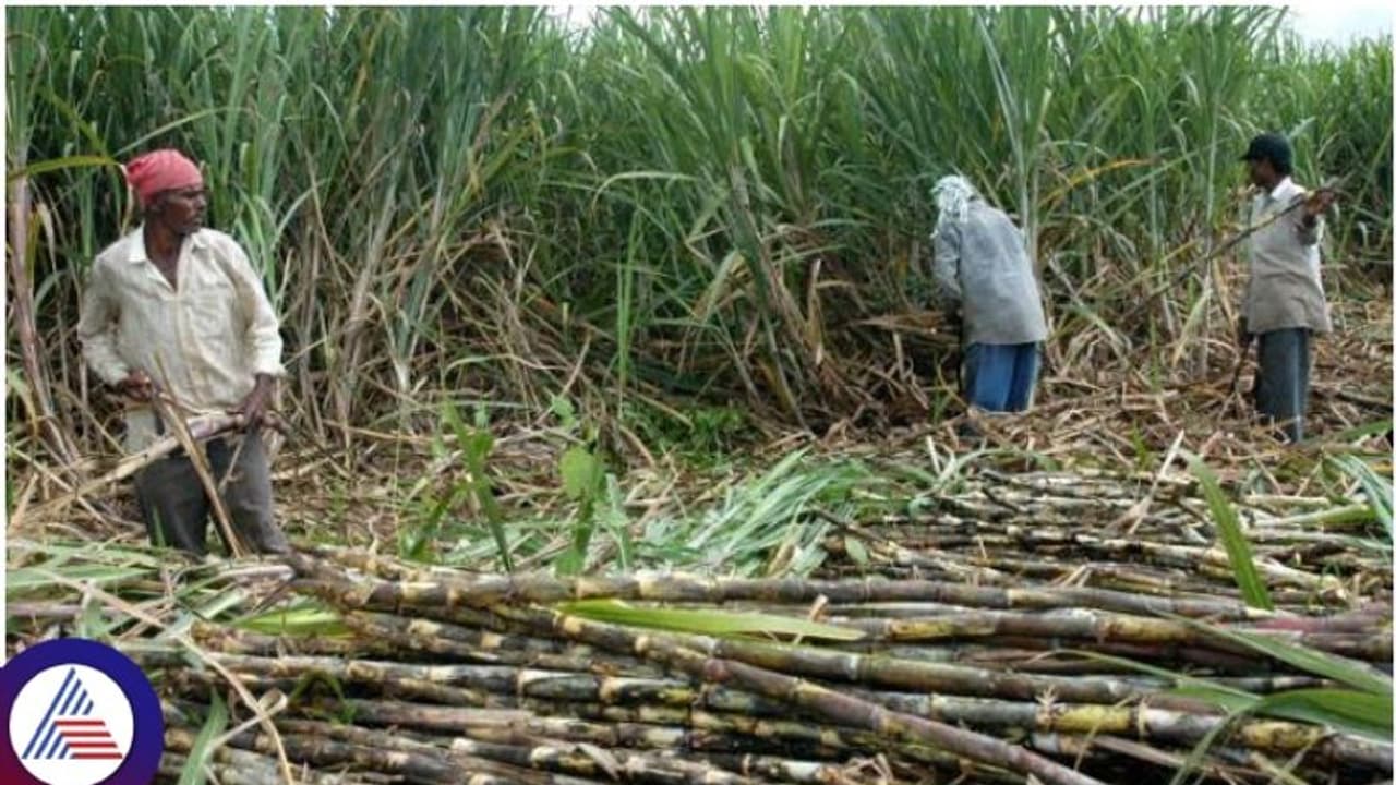 KEA scandal: Police probe reveals Bluetooth devices were distributed in sugarcane field!