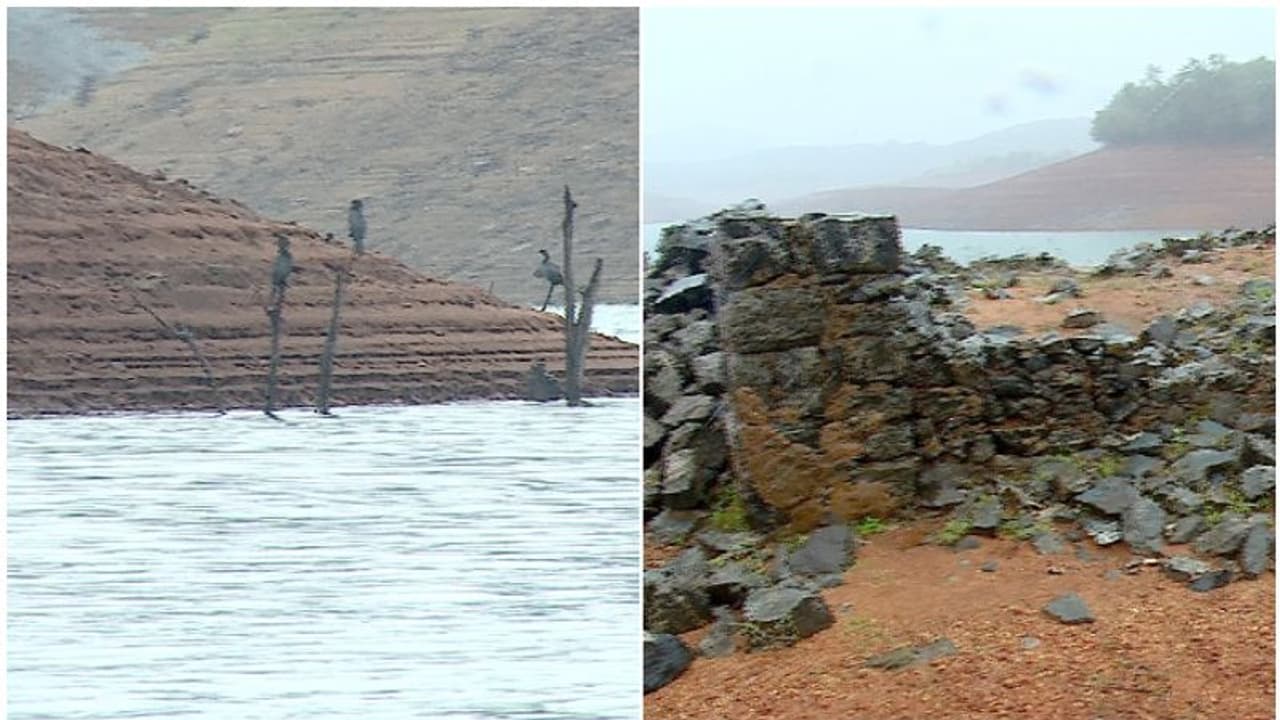 1974ല് ഇടുക്കി ഡാമിനടിയിലായ ഗ്രാമം; വെള്ളത്തില് മറഞ്ഞ സെന്റ് തോമസ് പള്ളിയും സ്കൂളും ഇന്ന് കാണാം! 1974ല് ഇടുക്കി ഡാമിനടിയിലായ ഗ്രാമം; വെള്ളത്തില് മറഞ്ഞ സെന്റ് തോമസ് പള്ളിയും സ്കൂളും ഇന്ന് കാണാം!