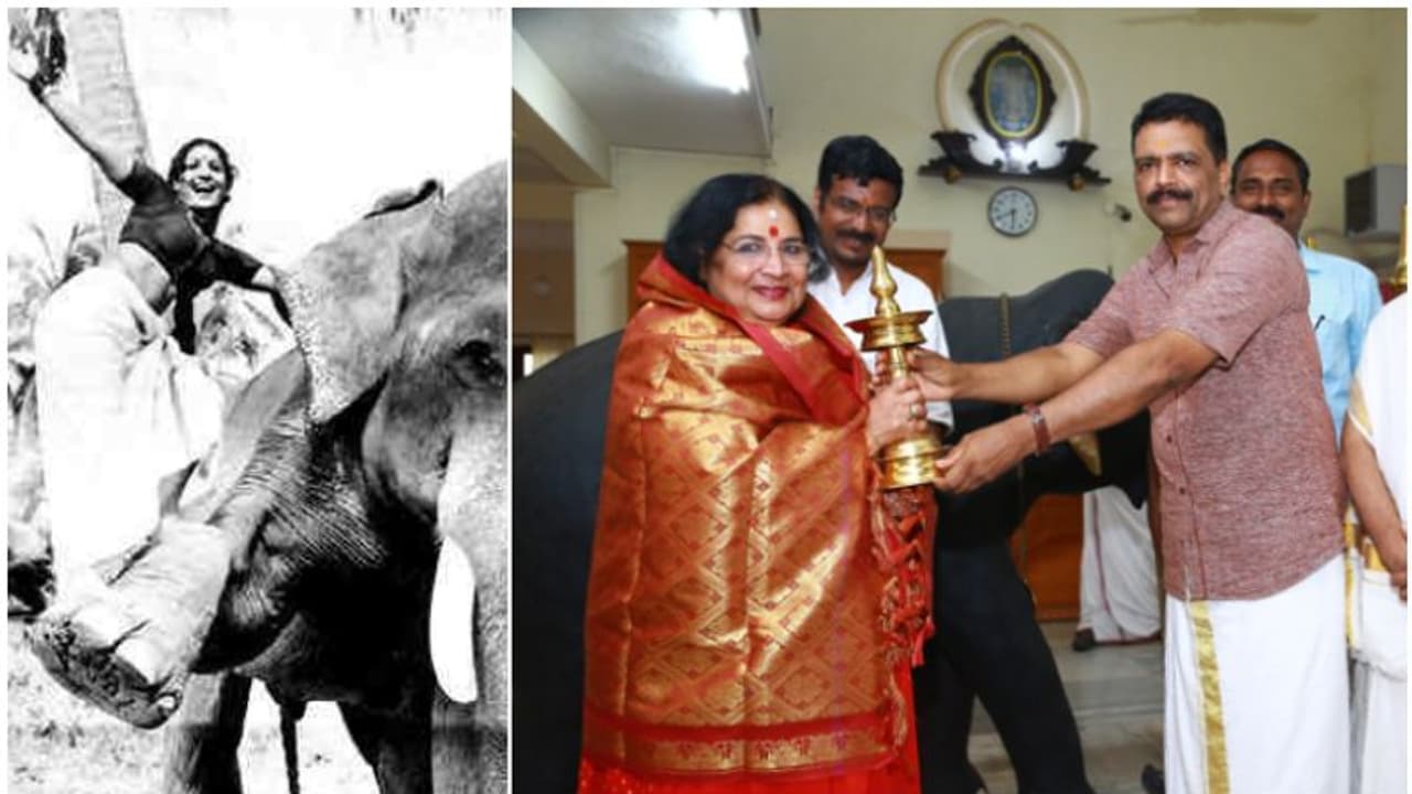 ഗുരുവായൂർ കേശവനെ നടയിരുത്തിയതിന്‍റെ ശതാബ്‍ദി; 'നന്ദിനിക്കുട്ടി'ക്ക് സ്നേഹാദരവുമായി ഗുരുവായൂര്‍ ദേവസ്വം