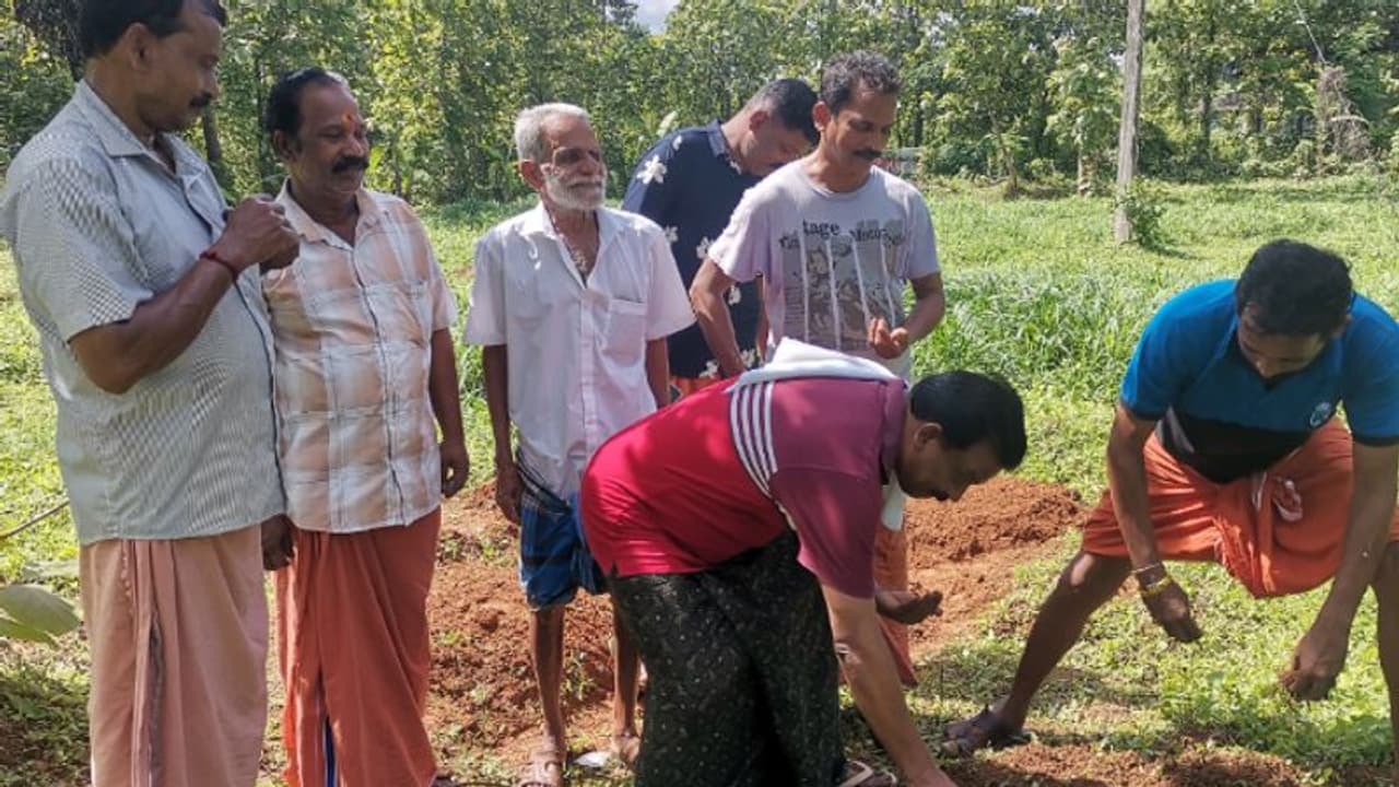ഓണത്തിന് കഴിക്കാൻ പച്ചക്കറി പുറത്തുനിന്ന് വേണ്ട, തിരക്കിനിടയിലും ഒരേക്കറിൽ വിത്തുപാകി മന്ത്രി! ഓണത്തിന് കഴിക്കാൻ പച്ചക്കറി പുറത്തുനിന്ന് വേണ്ട, തിരക്കിനിടയിലും ഒരേക്കറിൽ വിത്തുപാകി മന്ത്രി!