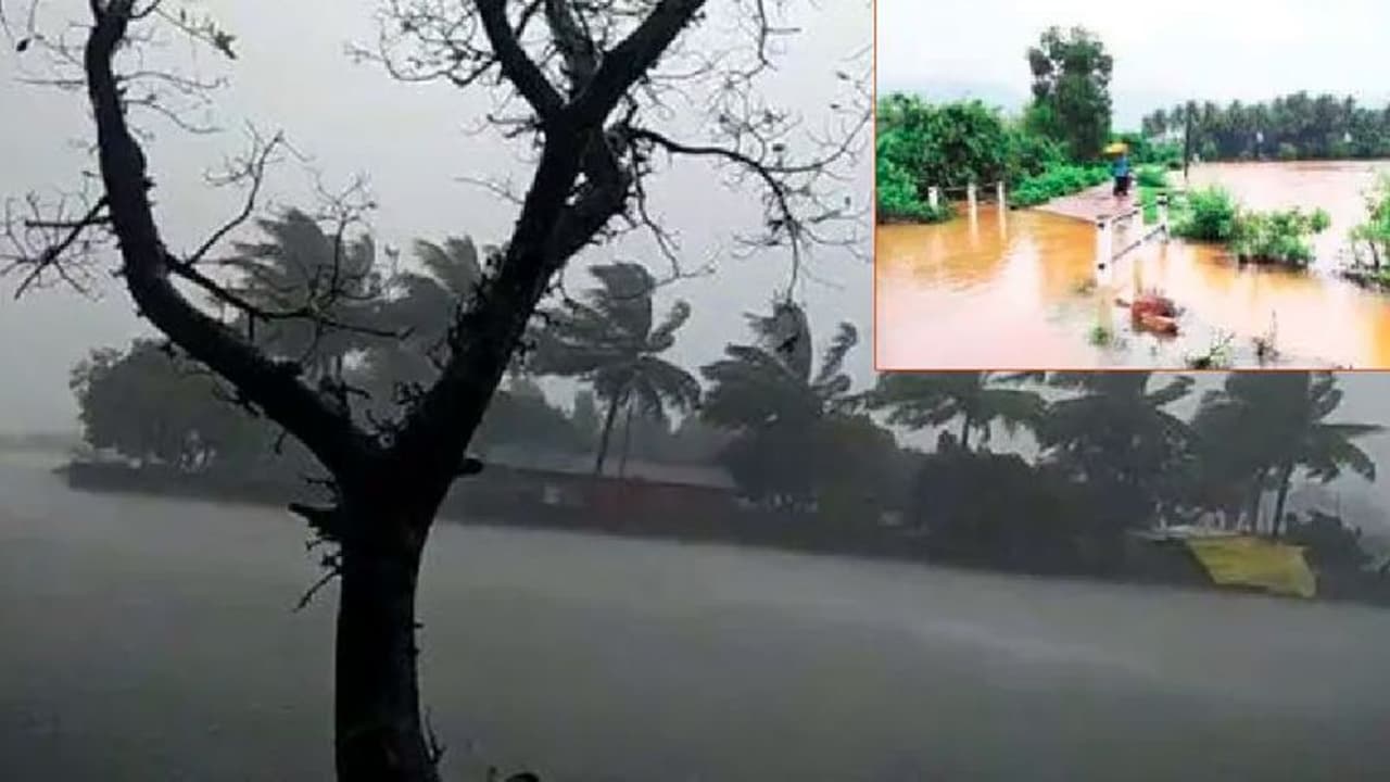 Karnataka rains: ಕಾರವಾರ ಭಾರಿ ಮಳೆಗೆ ಜಲಾವೃತವಾದ ಹೊಲಗದ್ದೆಗಳು! Karnataka rains: ಕಾರವಾರ ಭಾರಿ ಮಳೆಗೆ ಜಲಾವೃತವಾದ ಹೊಲಗದ್ದೆಗಳು!