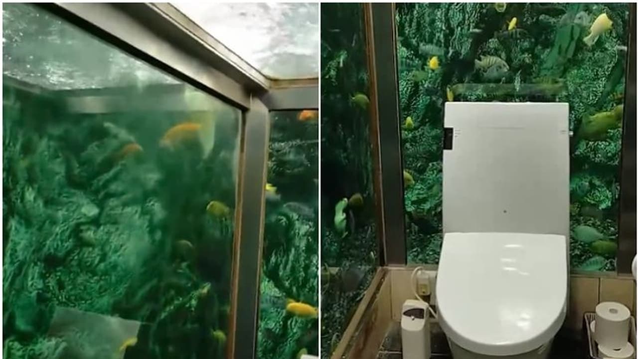 ടോയ്ലറ്റ് ആണോ അക്വേറിയം ആണോ? രസകരമായ വീഡിയോ... ടോയ്ലറ്റ് ആണോ അക്വേറിയം ആണോ? രസകരമായ വീഡിയോ...
