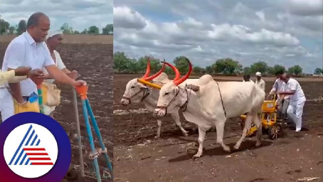 Video viral: ರೈತನೊಂದಿಗೆ ಕೈಜೋಡಿಸಿ ಒಂದು ಎಕರೆ ಬಿತ್ತನೆ ಮಾಡಿದ ಶಾಸಕ ಶರಣು ಸಲಗರ! 