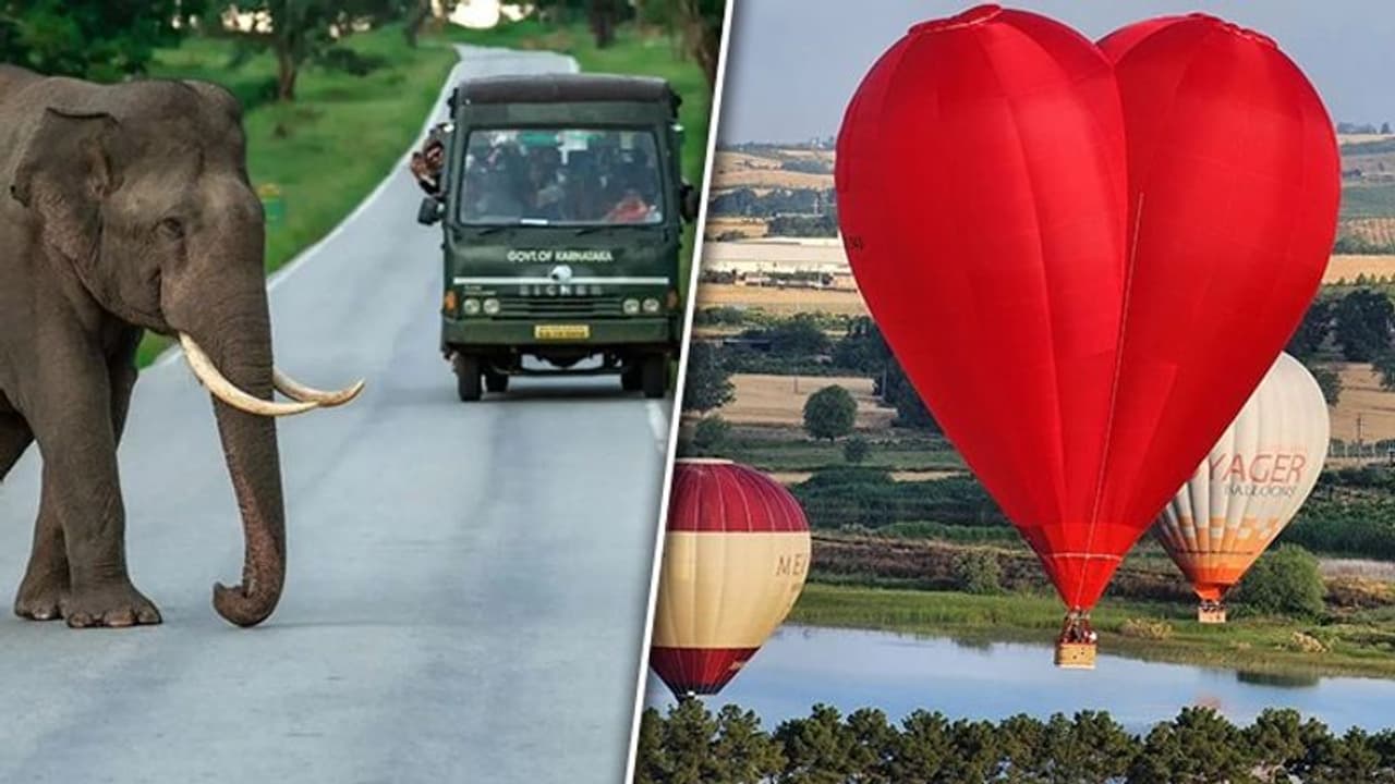 Hot Air Balloon rides to Wild Life Safari: 7 adventurous activities for adrenaline enthusiasts when in Delhi