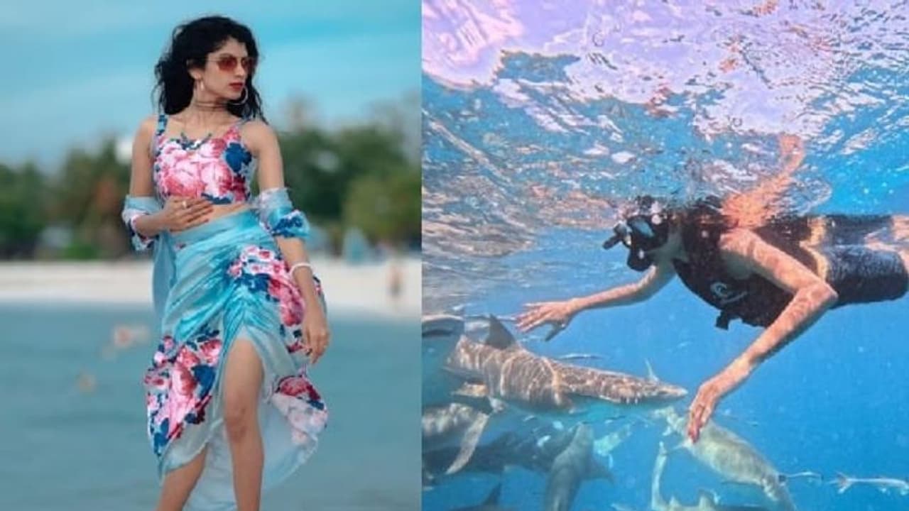 സ്രാവുകള്ക്കൊപ്പം നീന്തി ശ്രുതി രജനീകാന്ത്: ഗ്ലാമറായി വീഡിയോ സ്രാവുകള്ക്കൊപ്പം നീന്തി ശ്രുതി രജനീകാന്ത്: ഗ്ലാമറായി വീഡിയോ