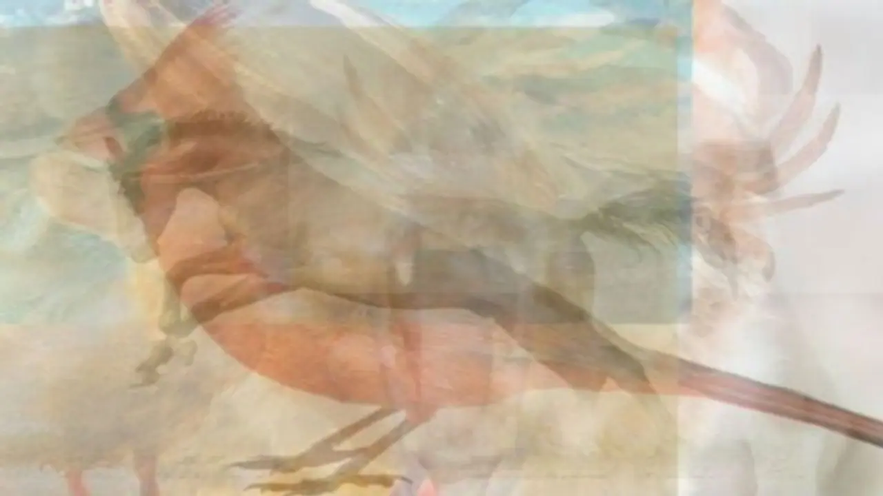 இந்த படத்தில் முதல்ல உங்க கண்ணுக்கு தெரியிற விலங்கு எது? அதுக்கும் உங்க காதலுக்கும் தொடர்பு இருக்கு தெரியுமா?