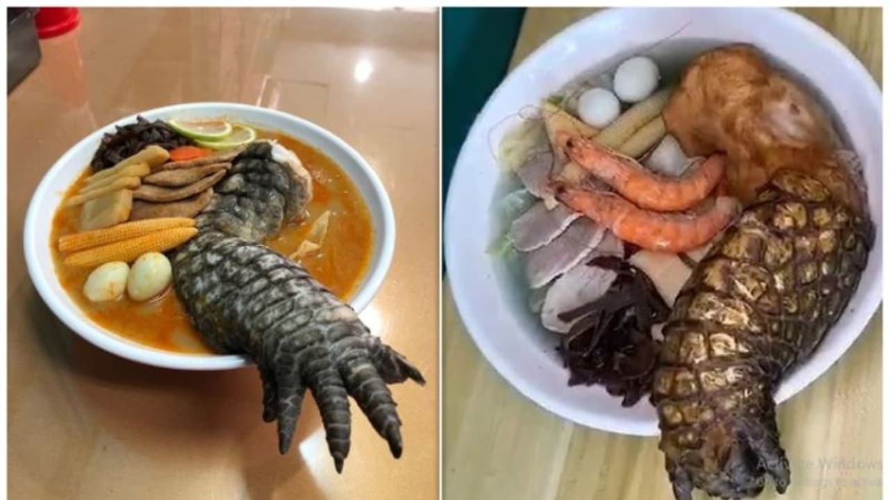 'ഇതെന്താ മുതലയുടെ കാലോ' ; സോഷ്യൽ മീഡിയയിൽ ശ്രദ്ധ നേടുകയാണ് ഈ വിഭവം