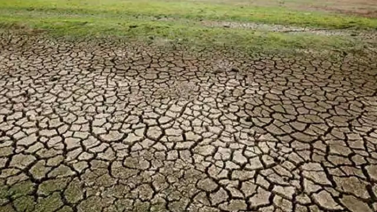 ಮುಂಗಾರು ಮಳೆ ಕೊರತೆ: ರಾಜ್ಯದ 508 ಕೆರೆಗಳಲ್ಲಿ ಒಂದು ಹನಿ ನೀರಿಲ್ಲ! ಮುಂಗಾರು ಮಳೆ ಕೊರತೆ: ರಾಜ್ಯದ 508 ಕೆರೆಗಳಲ್ಲಿ ಒಂದು ಹನಿ ನೀರಿಲ್ಲ!