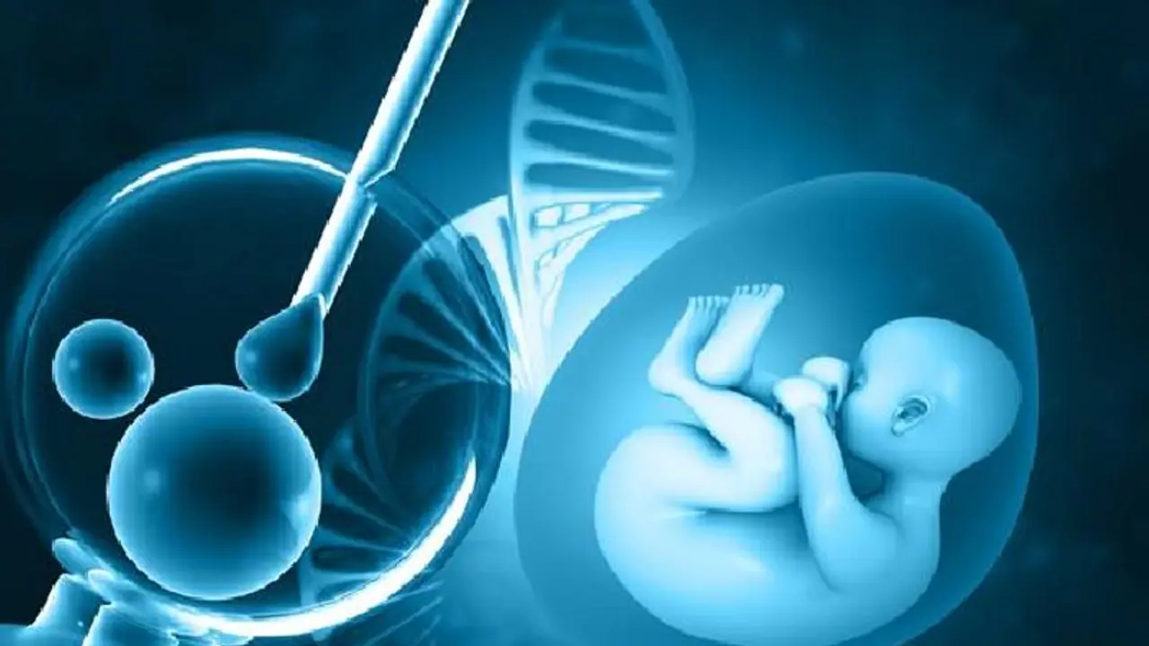 IVF சிகிச்சை கருத்தரிப்புக்கு சீரான உடல் எடை அவசியமா..? முழு விளக்கம் இங்கே.. IVF சிகிச்சை கருத்தரிப்புக்கு சீரான உடல் எடை அவசியமா..? முழு விளக்கம் இங்கே..